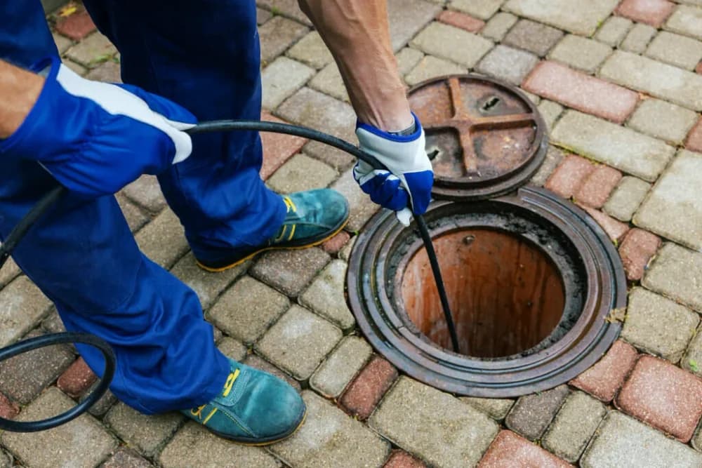Conduite d'évacuation et regard de visite près d'une habitation